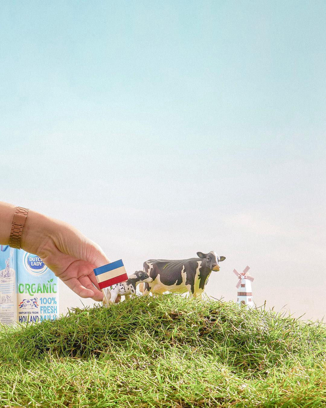 Mobirise Website Builder